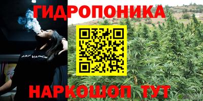 spice Краснознаменск
