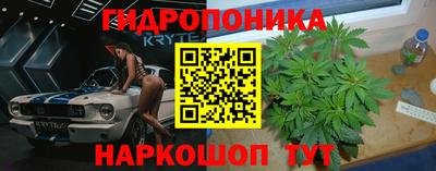 стаф Краснодар
