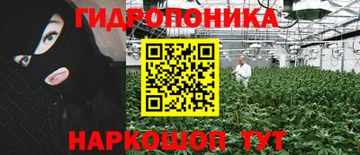 стаф Краснодар