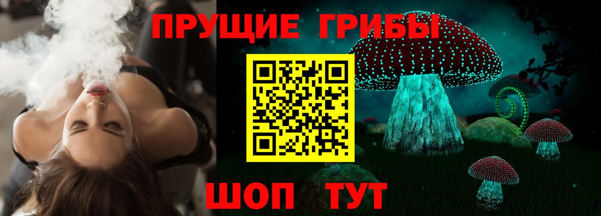 Вышний Волочёк  Галлюциногенные грибы прущие грибы  Вход с VPN 